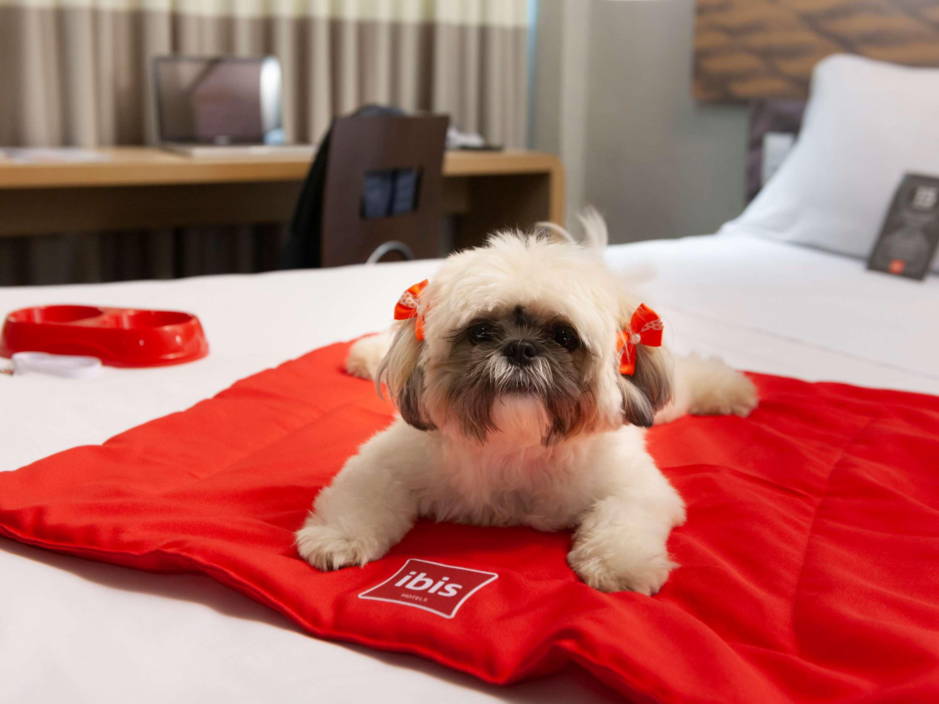 Ibis Teresina Hotel Luaran gambar