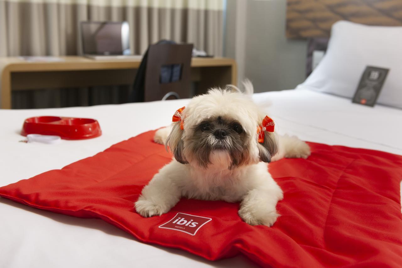 Ibis Teresina Hotel Luaran gambar